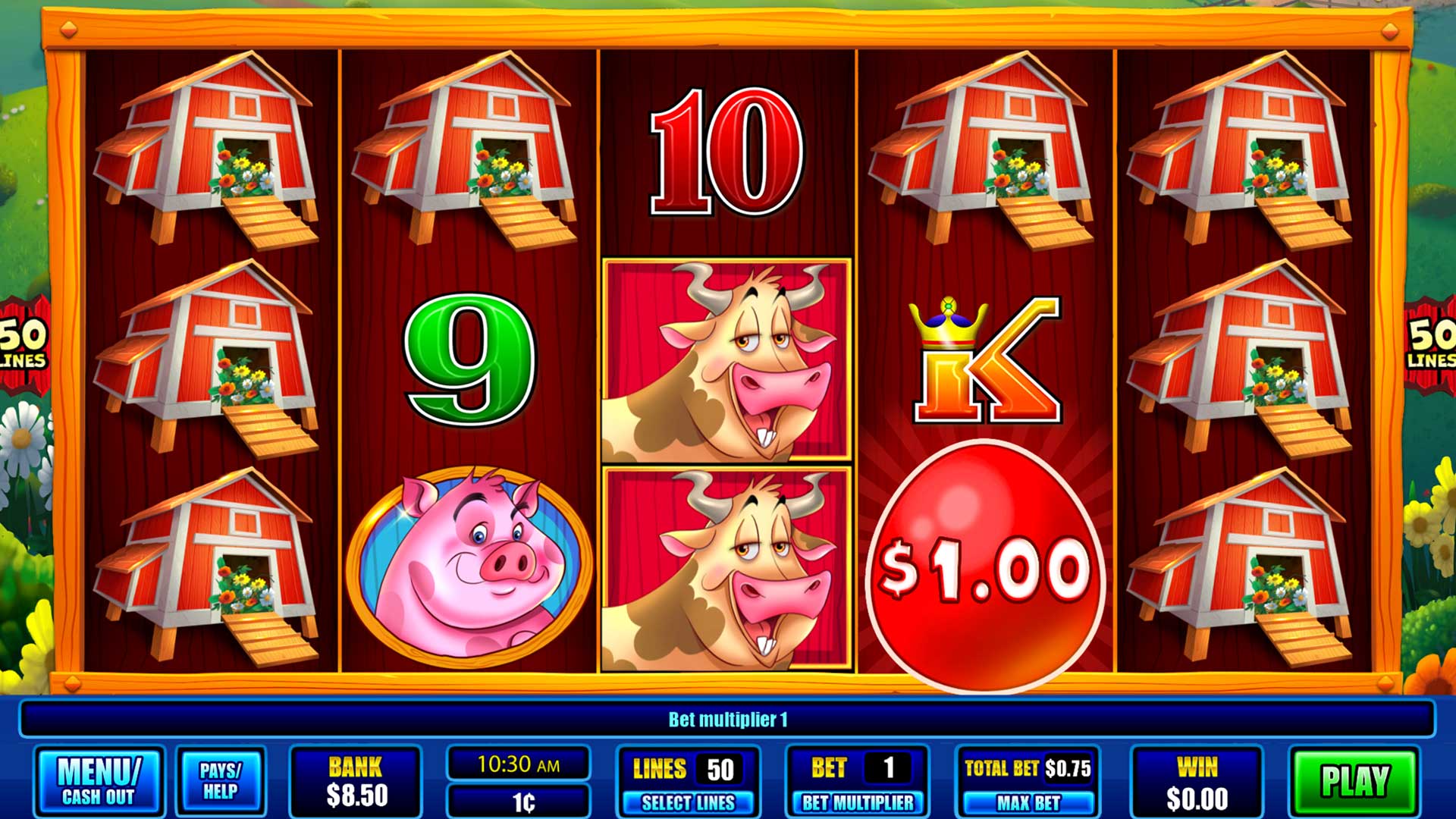 Crazy Chickens carousel image 0