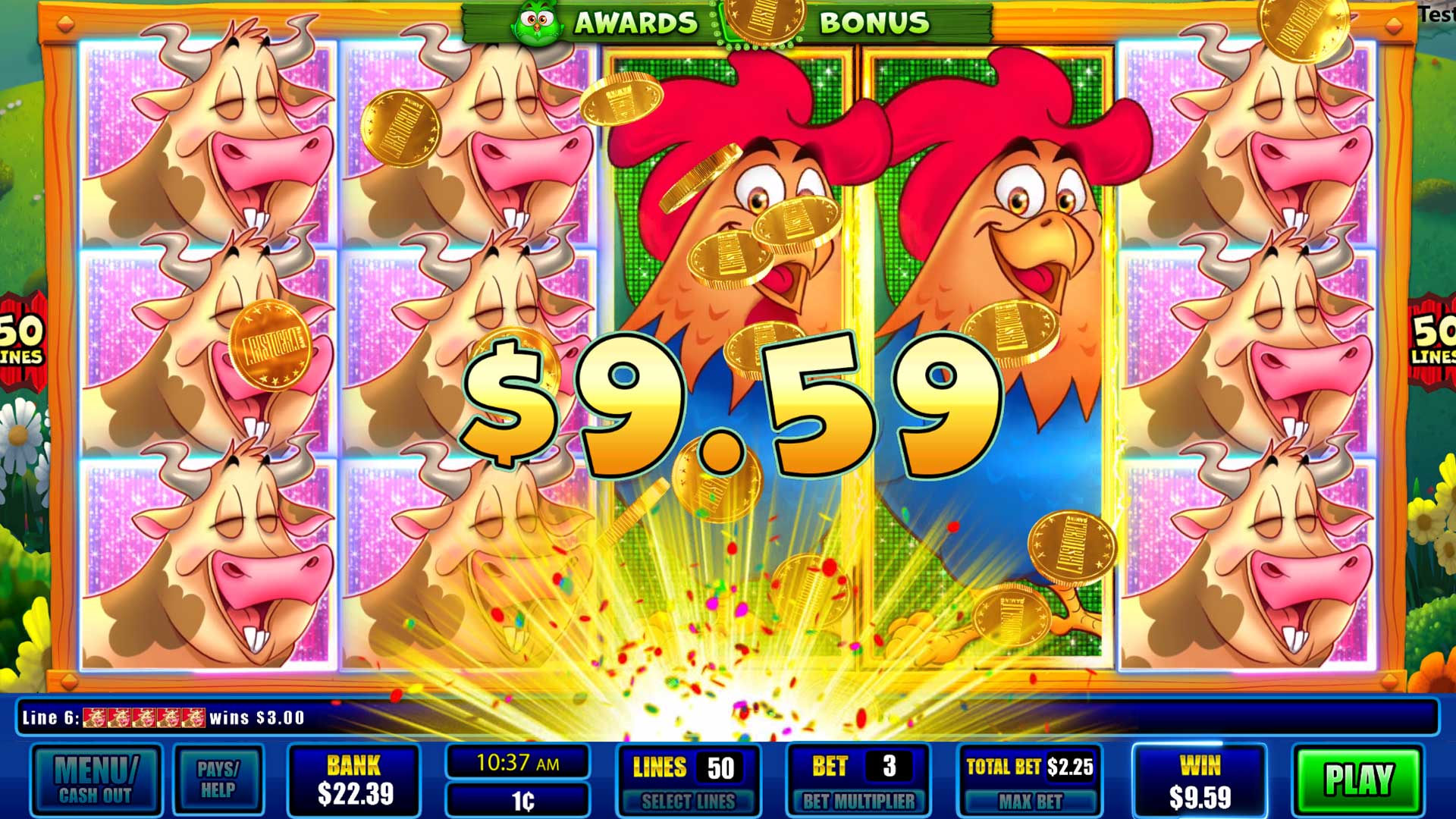 Crazy Chickens carousel image 1