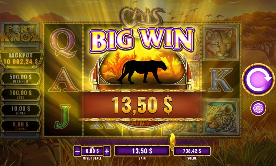 Fort Knox Cats carousel image 5