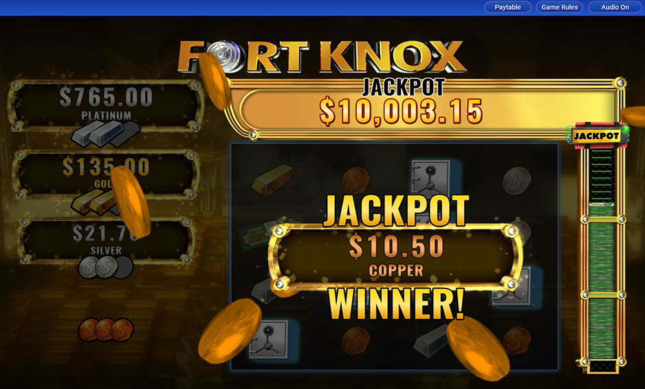 Fort Knox Cats carousel image 8