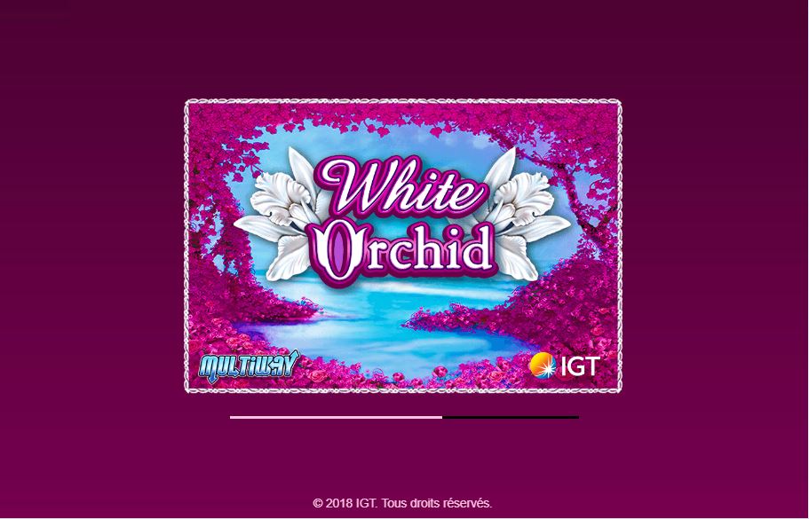 White Orchid carousel image 0